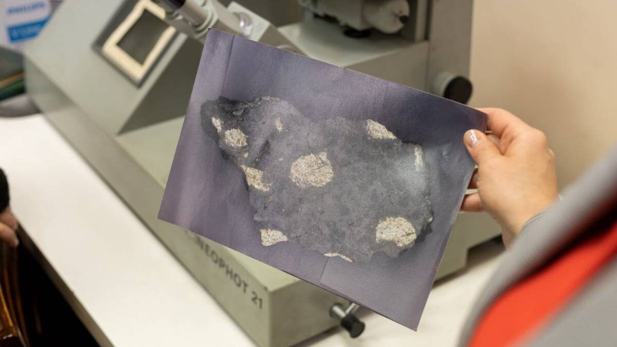    Фото: пресс-служба УрФУ