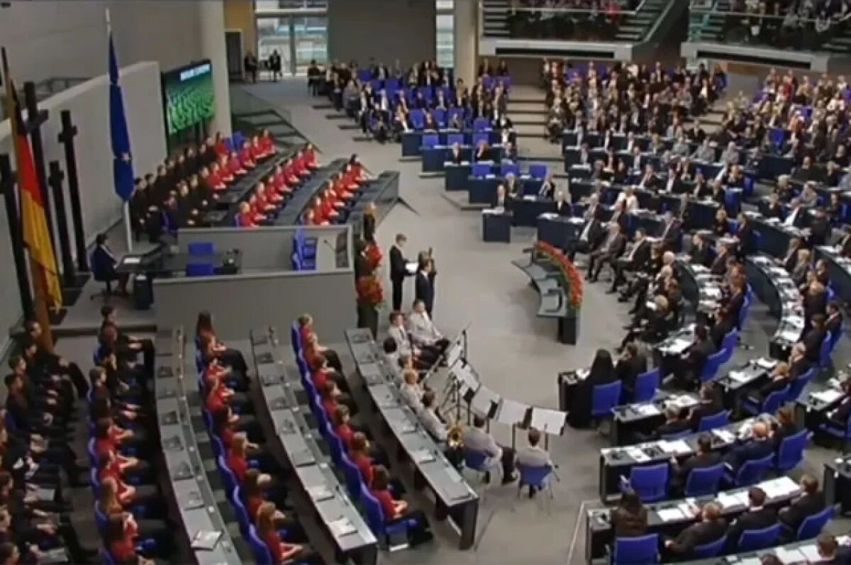    ZDF: в Бундестаг внесли ходатайство о запрете партии АдГ