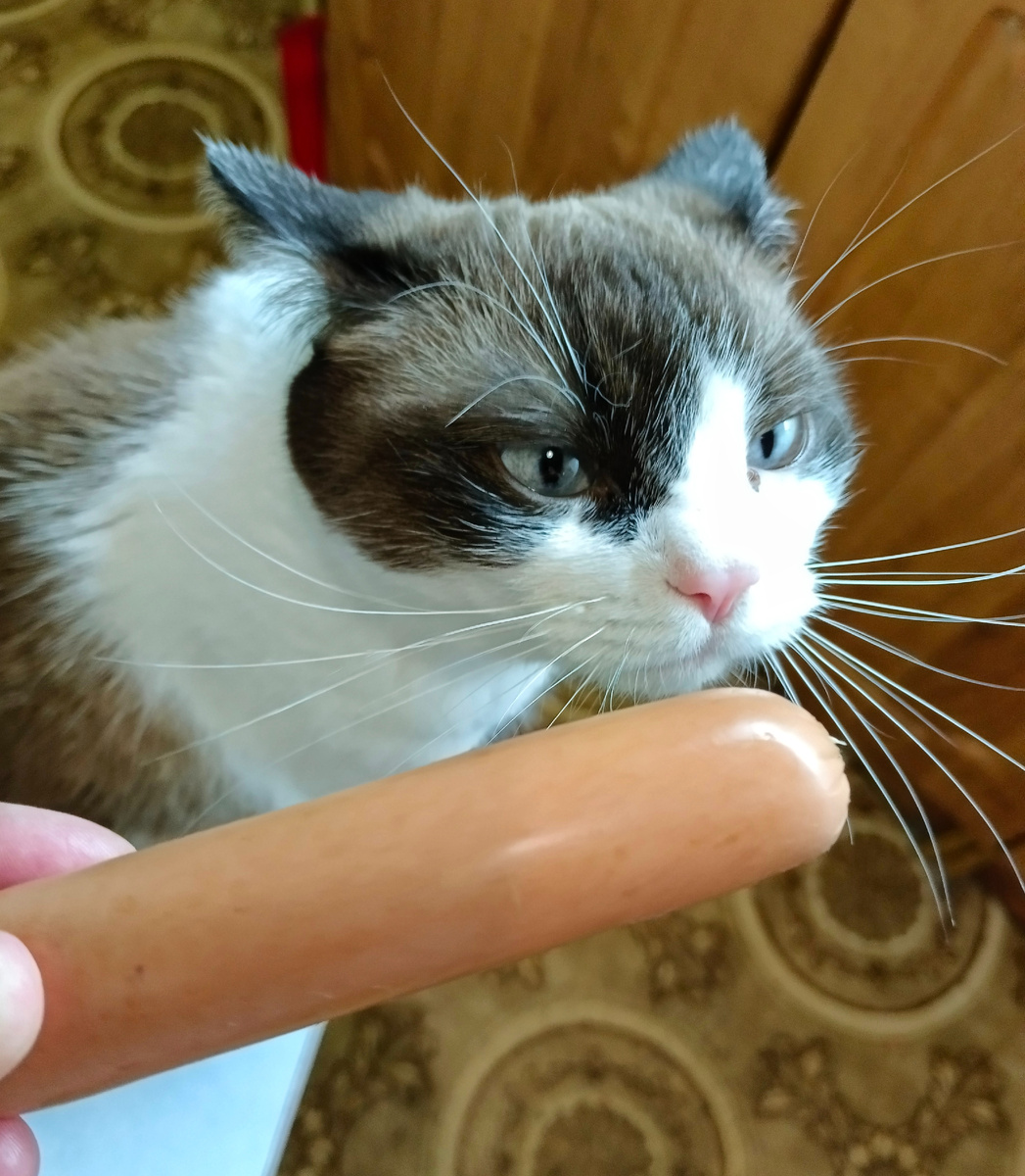 Поздравления!😸