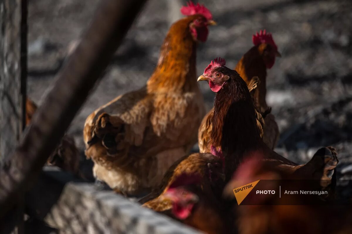 © Sputnik / Aram Nersesyan