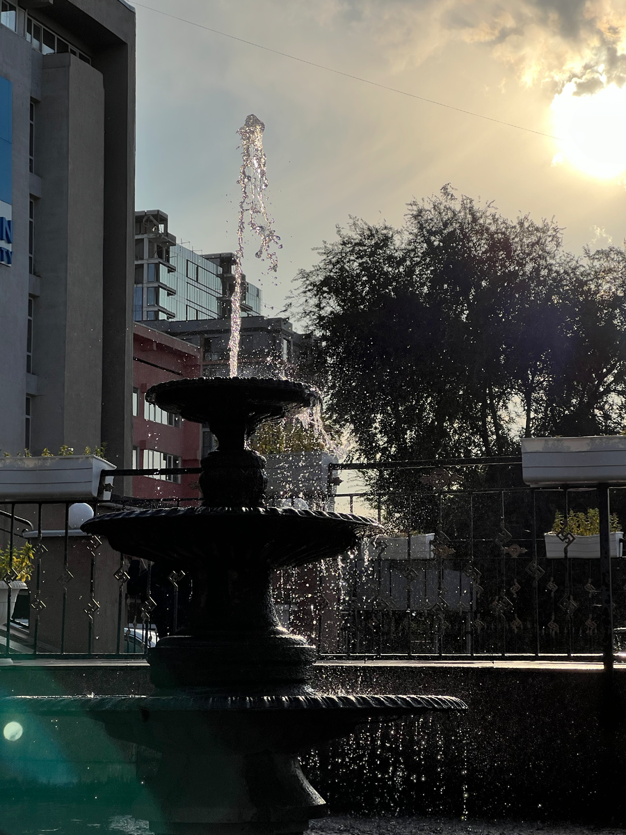 "Красота в мелочах" (Автор фото: Алина Асадилова (sonagi.)