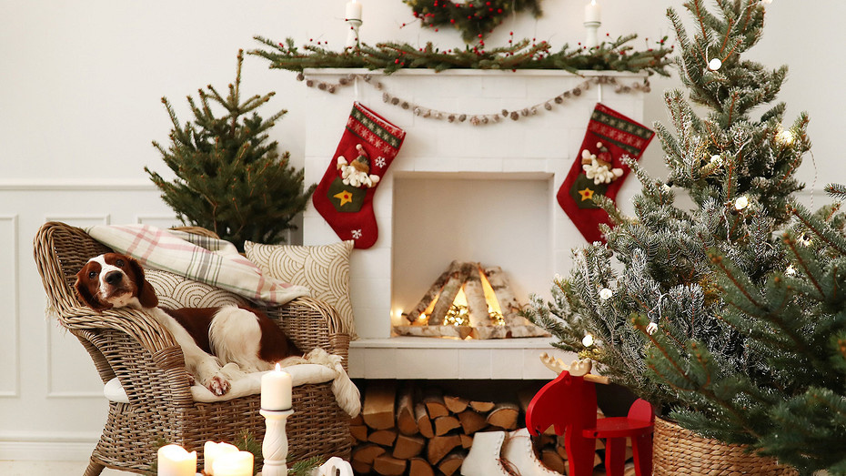     Источник здесь и далее: freepik.com (@Racool_studio)