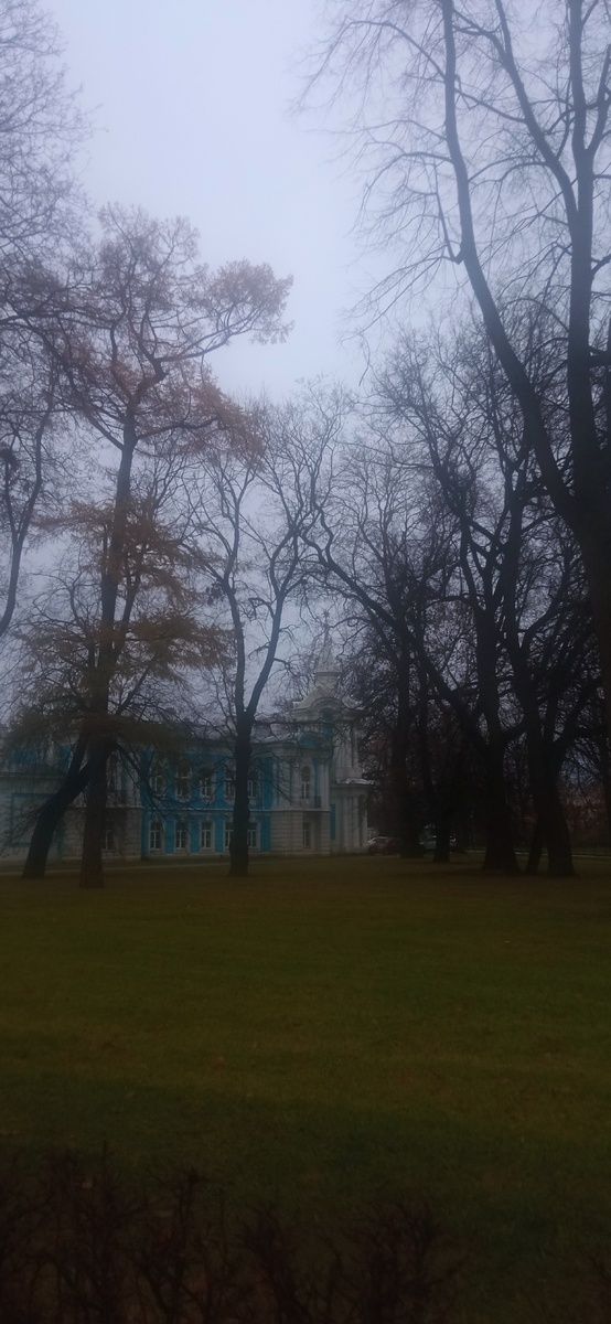 У Смольного собора. Фото моё