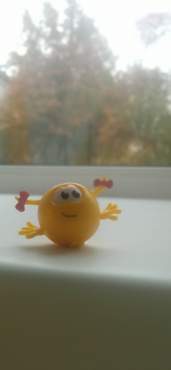 Вот примерно такой я выглядела в глазах окружающих в 17 лет (фото моё) 