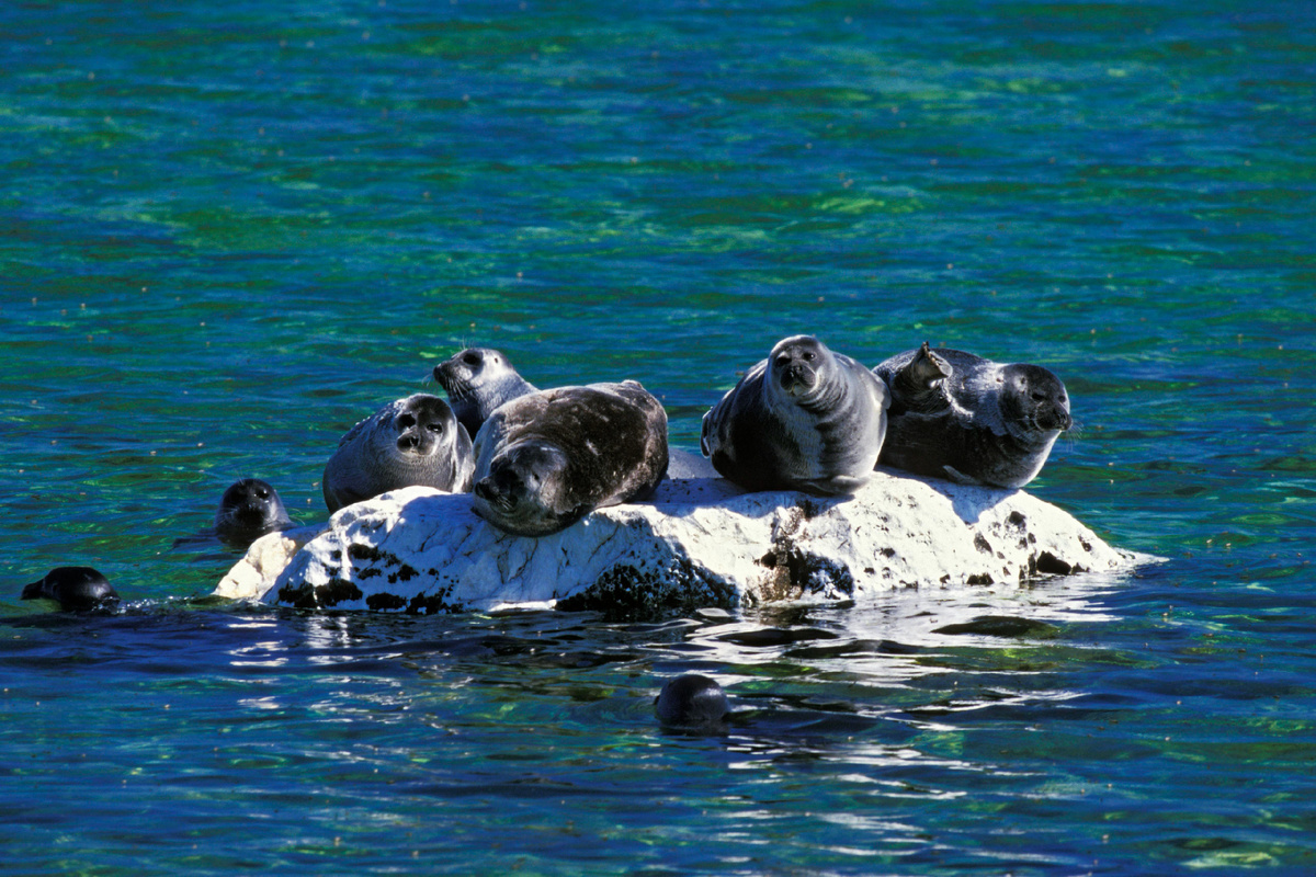 Фото: © Konrad Wothe/ http://imagebroker.com/#/search/ Global Look Press