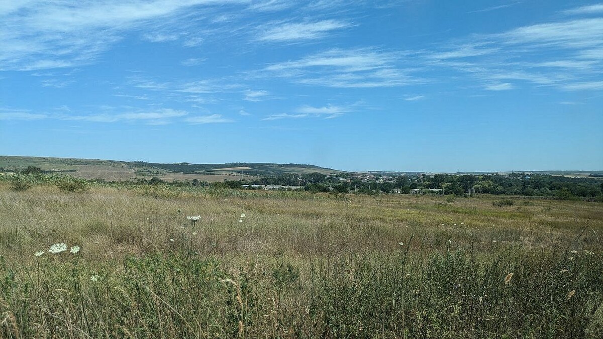    Фото: телеканал «Краснодар»