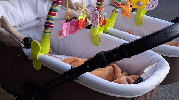    © Sputnik / Михаил Авагимов