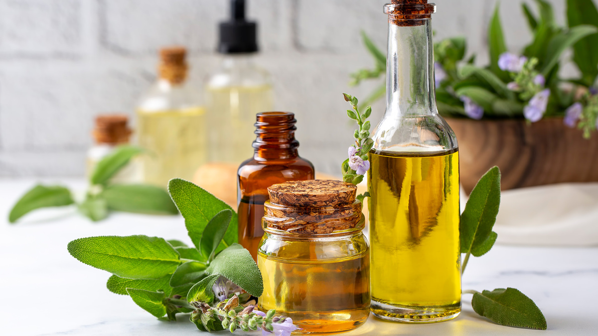 Фото: envato.com