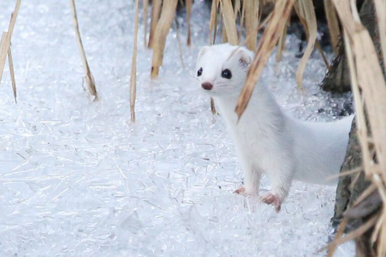    Фото: mos.ru Анастасия Давыдова