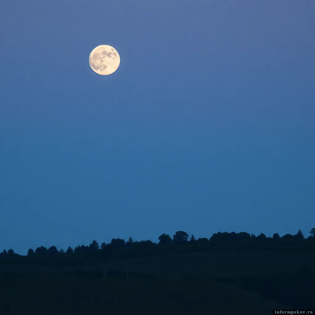 Фото сгенерировано нейросетью