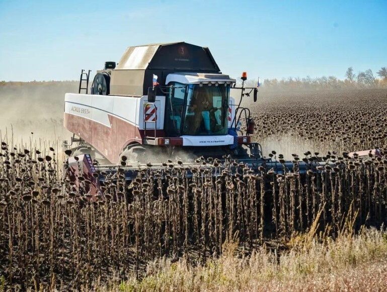    В Оренбуржье лидером по общему намолоту подсолнечника стал Курманаевский район Кристина Просвиркина