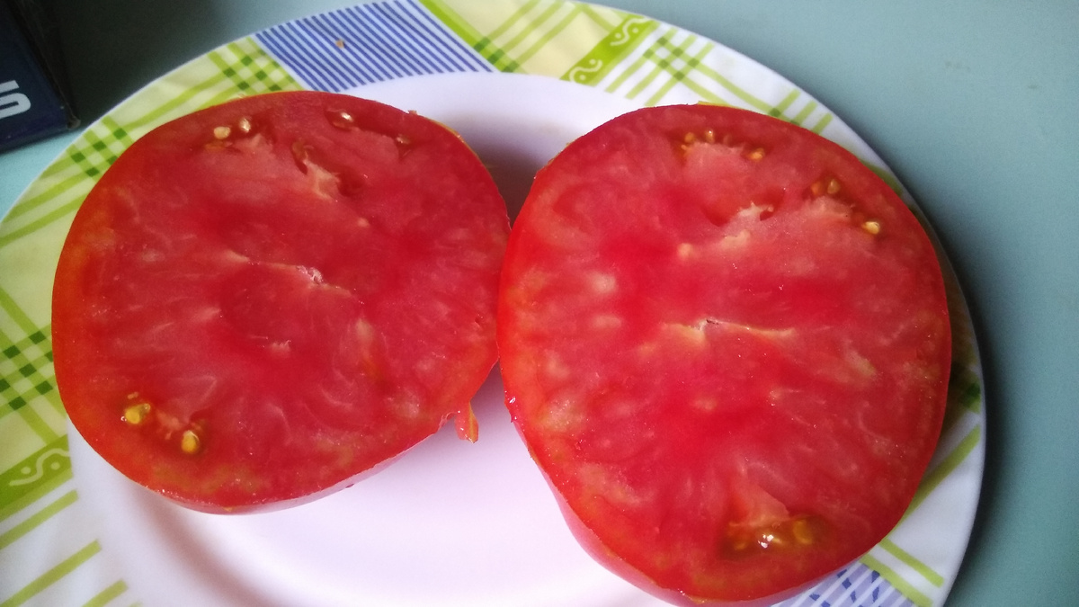 Томат Куум в разрезе