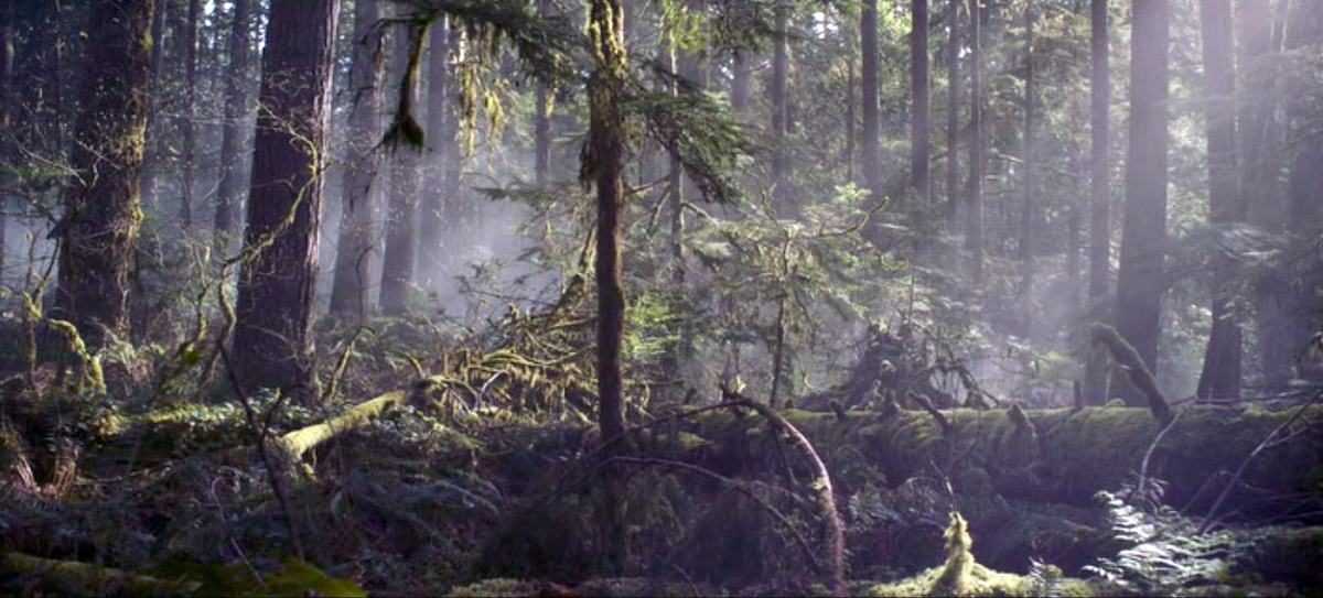 Фото из фильма:Затерянное место 