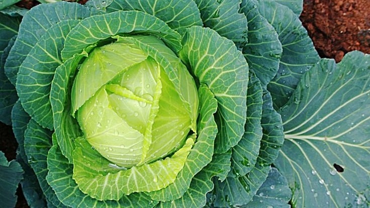 Фото с pinterest.com