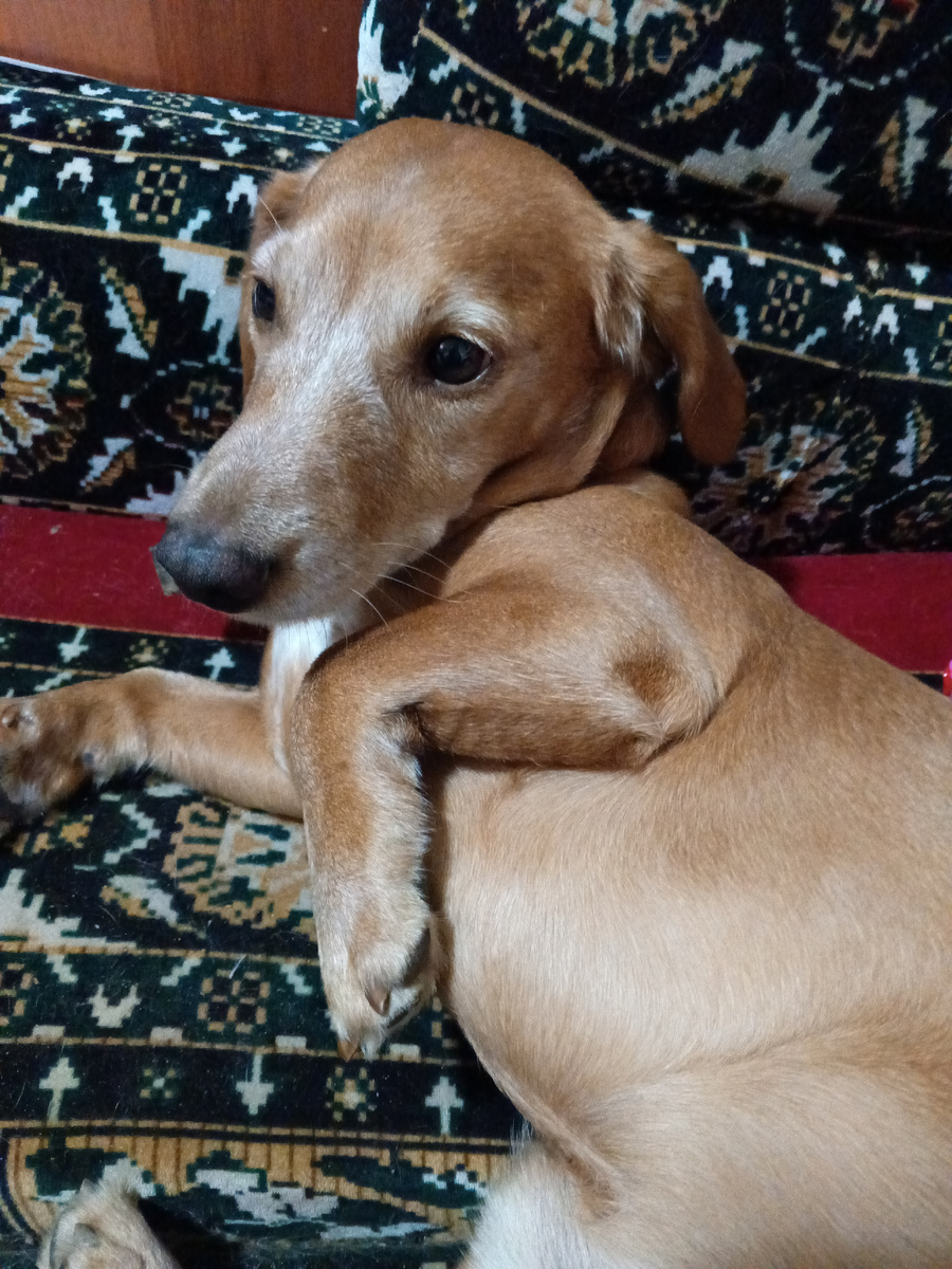 Фото автора