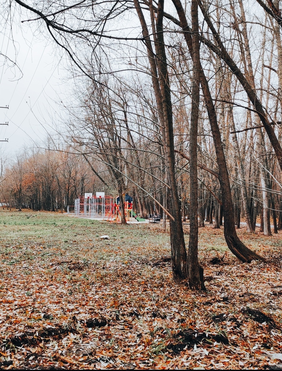 Детская зона в парке
