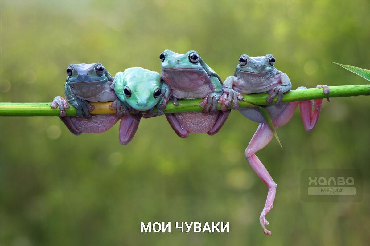 Источник: Shutterstock📷
