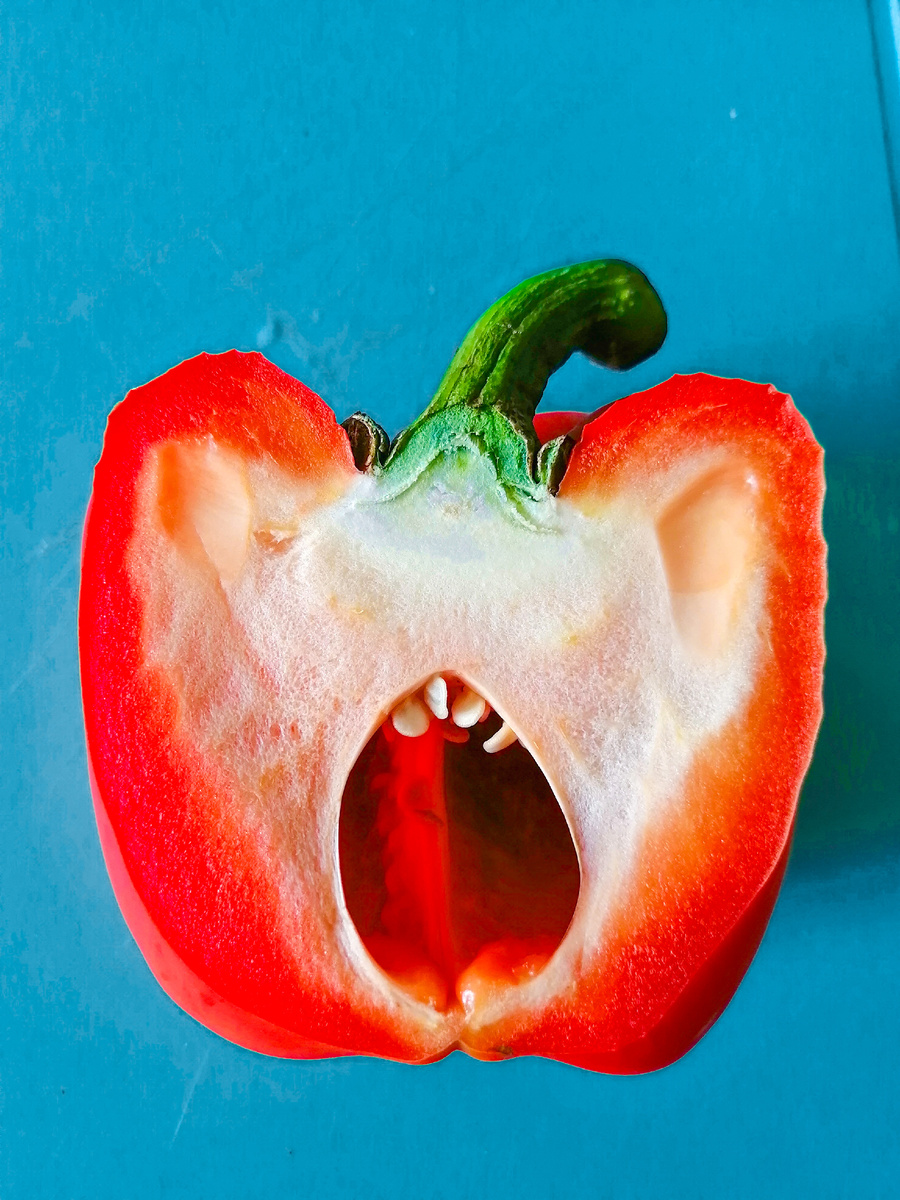 Фото из личного архива.