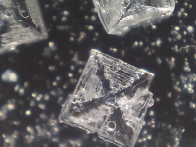    Представлена линза iMicro Q3p, делающая из смартфона микроскоп