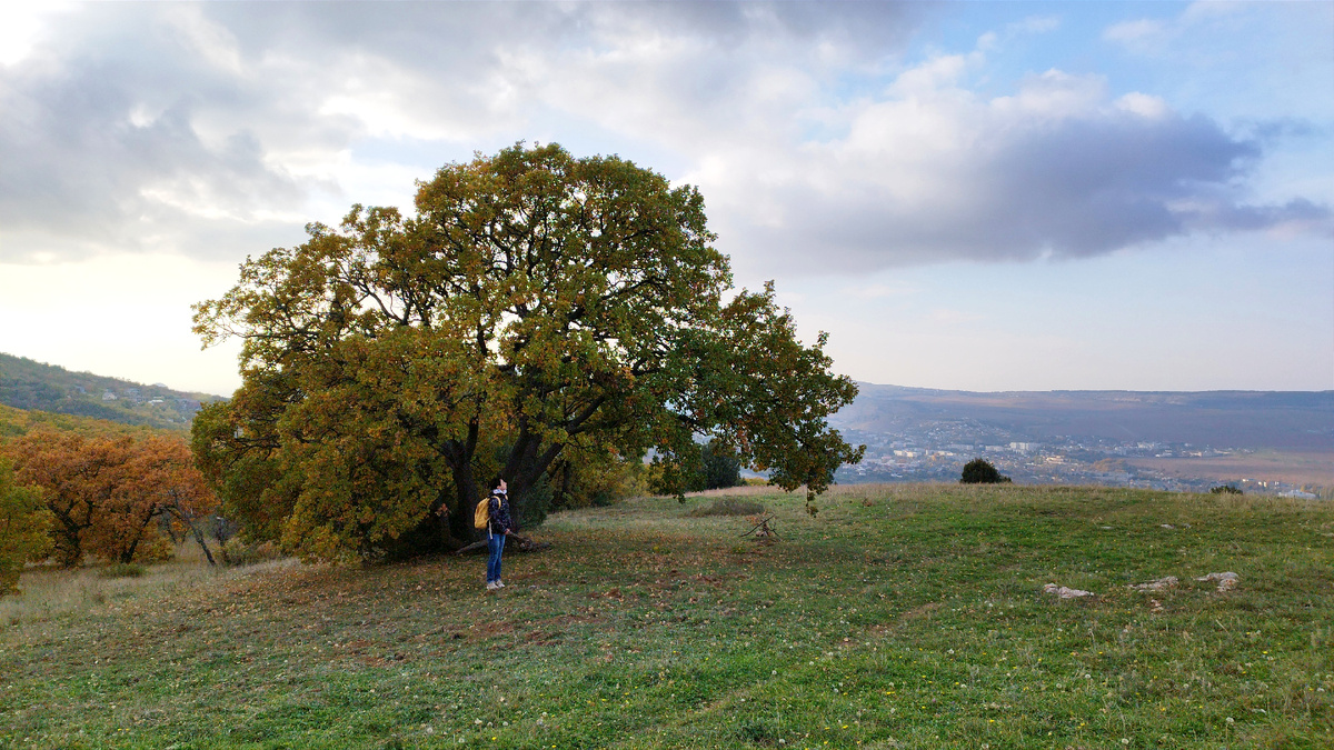 11 ноября 2024. Понедельник, 14.46. Балаклава.