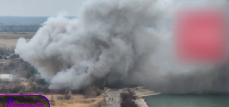    Скриншот: Telegram/Readovka