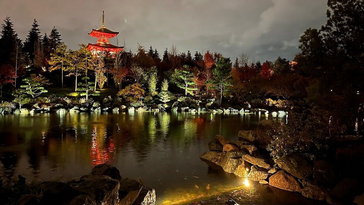    Фото: телеканал «Краснодар»