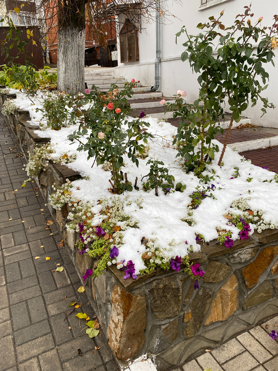 Город в ноябре