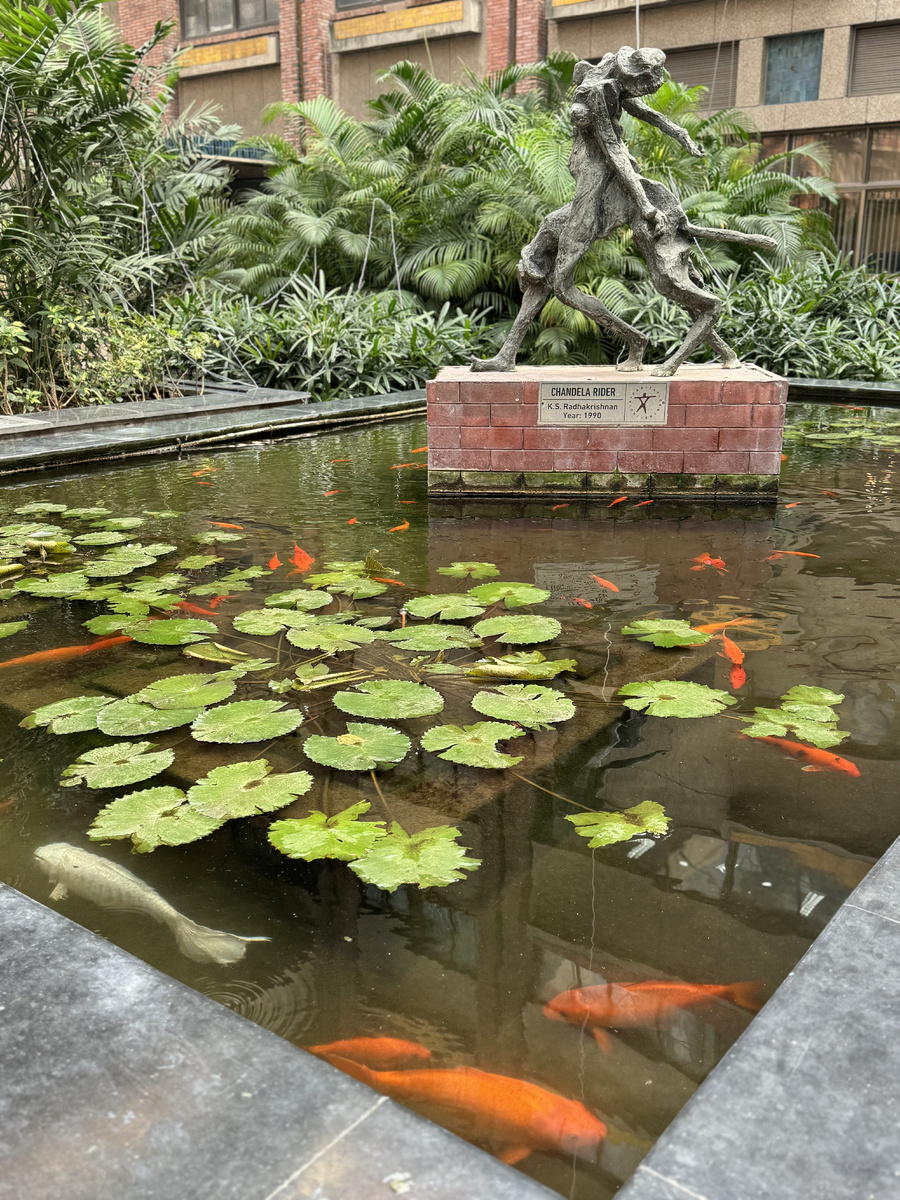 India Habitat Centre Нью-Дели - внутренний сад (ноябрь 2024 г.)