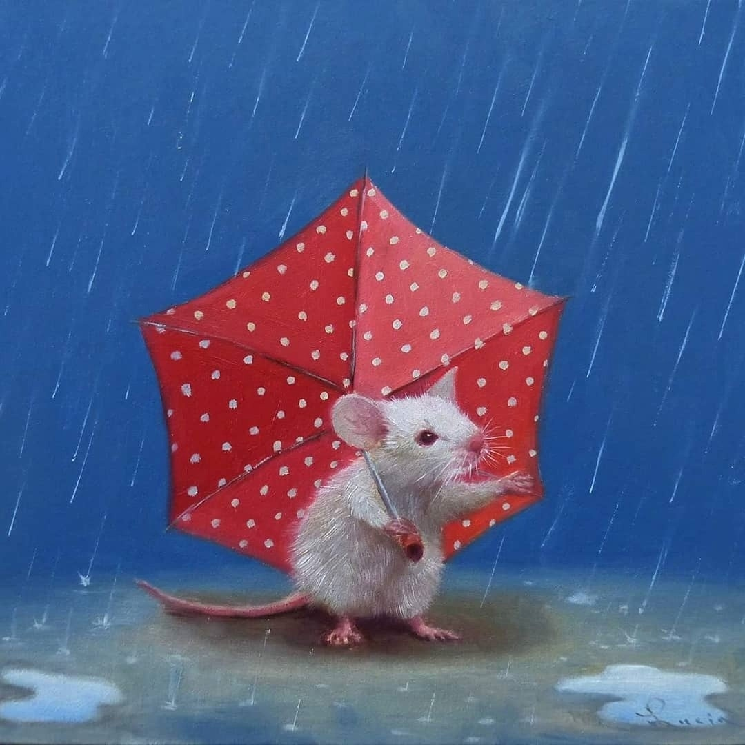 wwwluciaheffernanshop.com