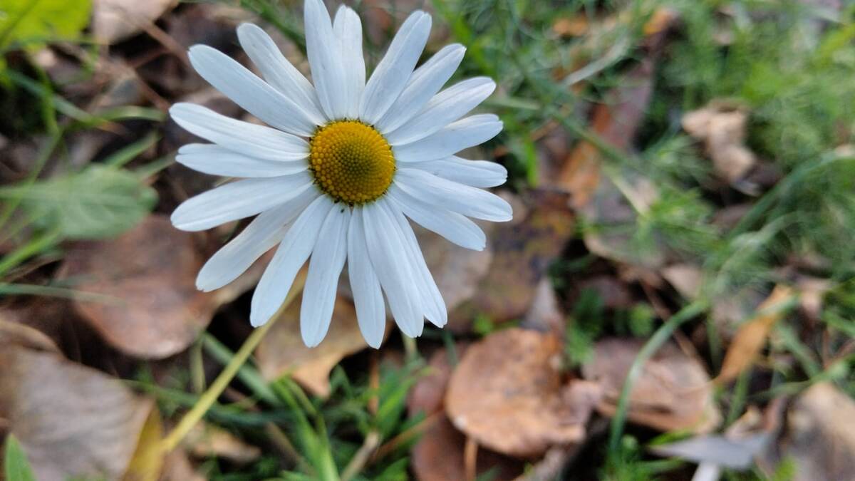 Фото из личных архивов автора