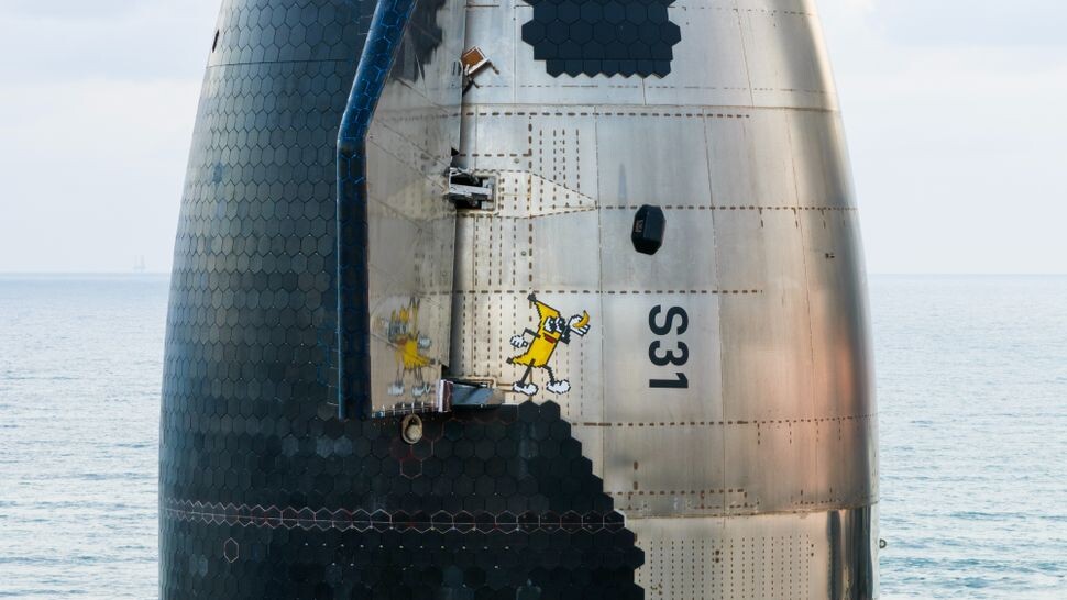 Верхняя ступень Starship оснащена бананом «для масштаба».     
 Источник: SpaceX (X)  📷
