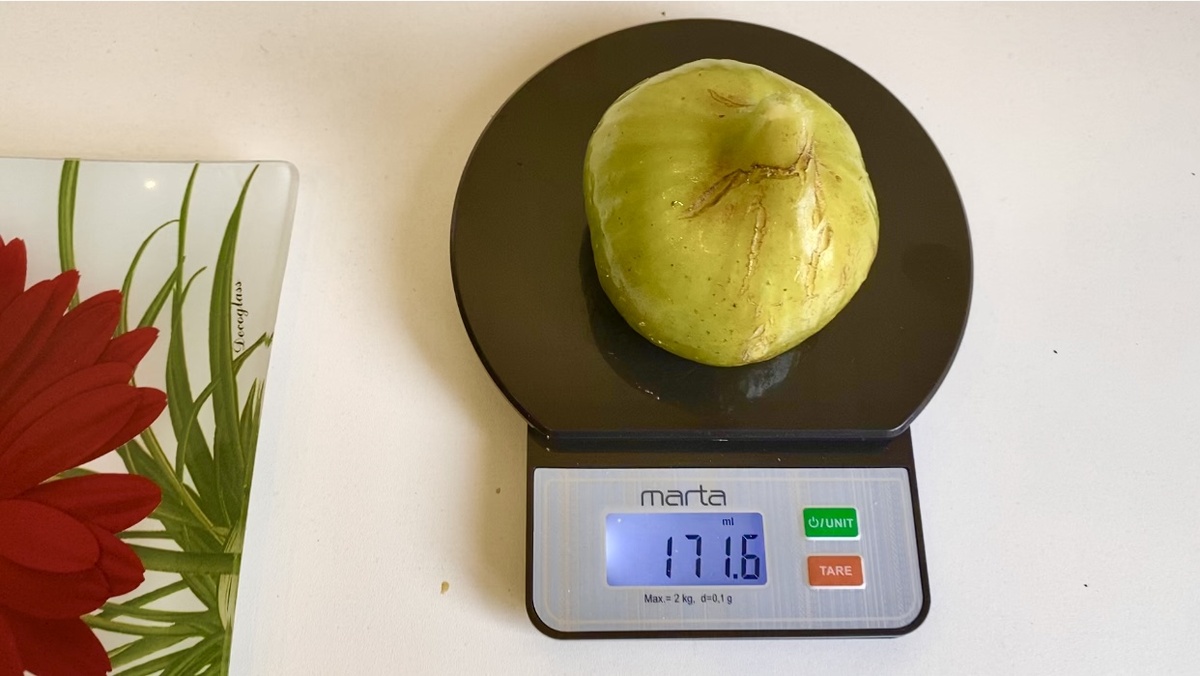 Инжир CdA"Константин де Алжир"