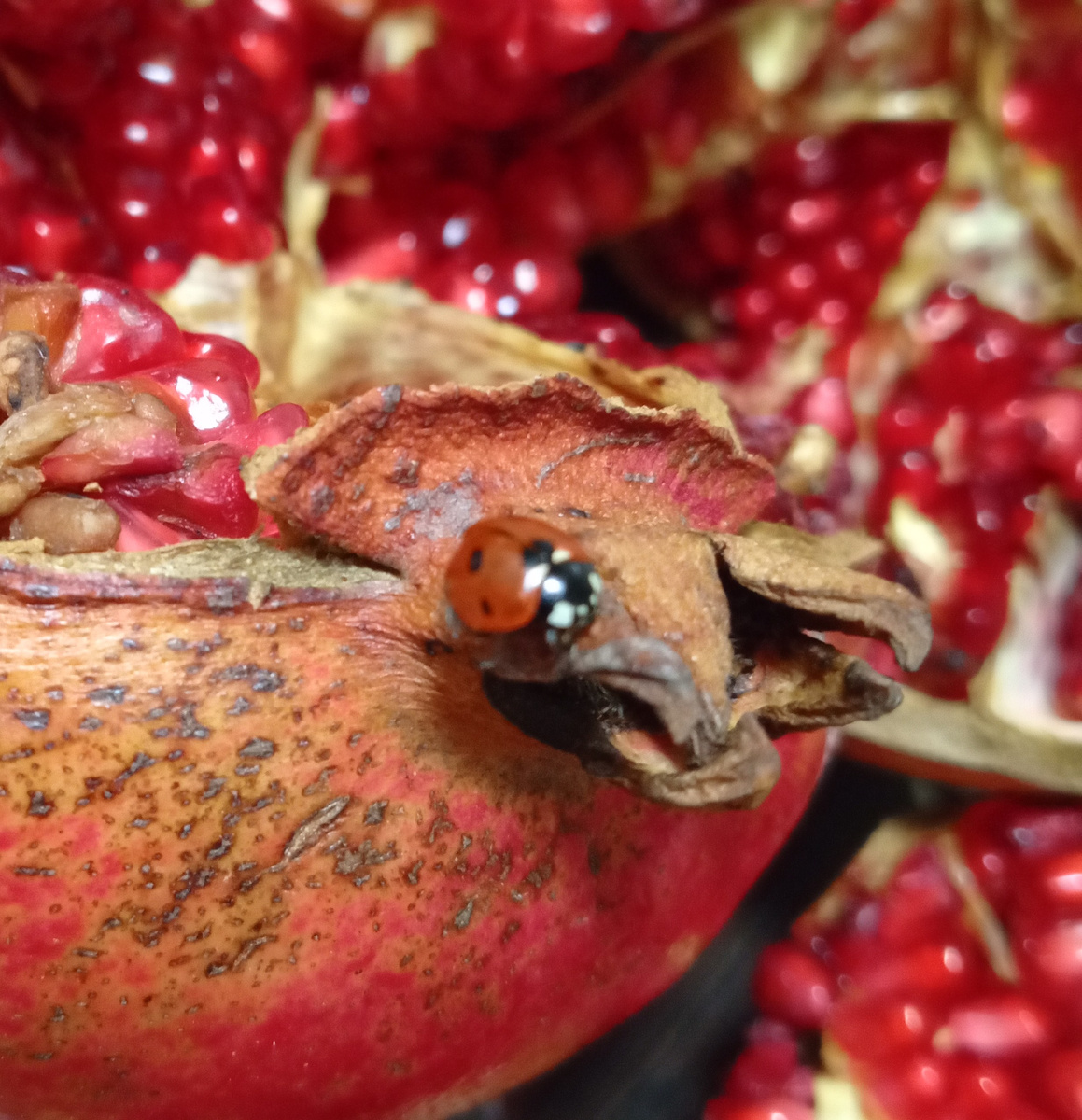 Фото из личного архива.