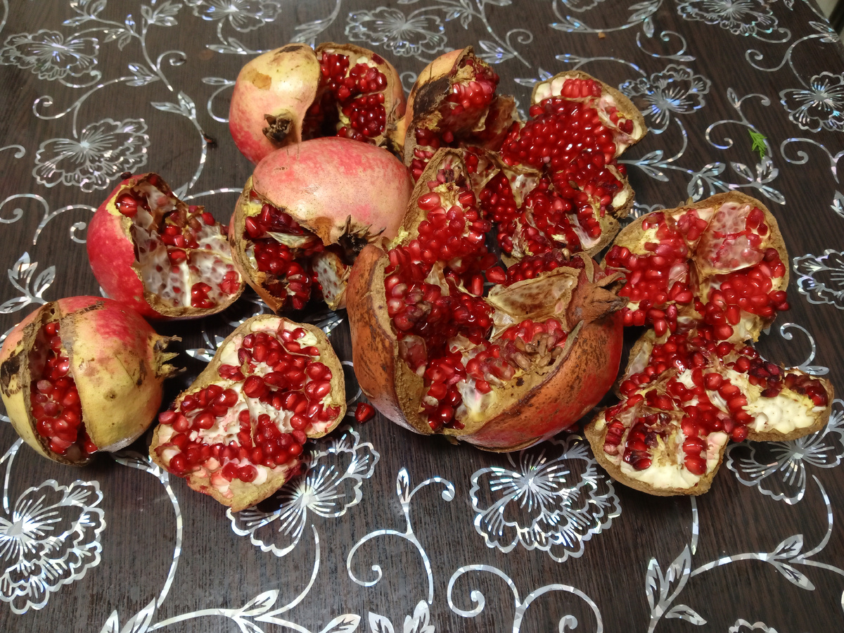 Фото из личного архива. Вот в таком виде гранат висел на дереве.