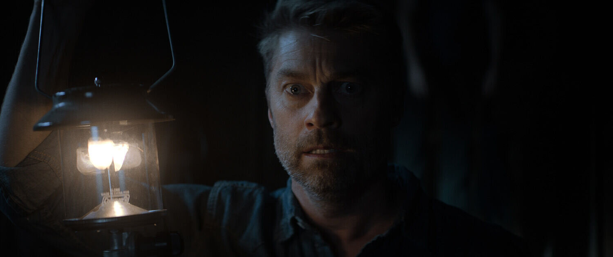 Ищет хорошие ужастики.