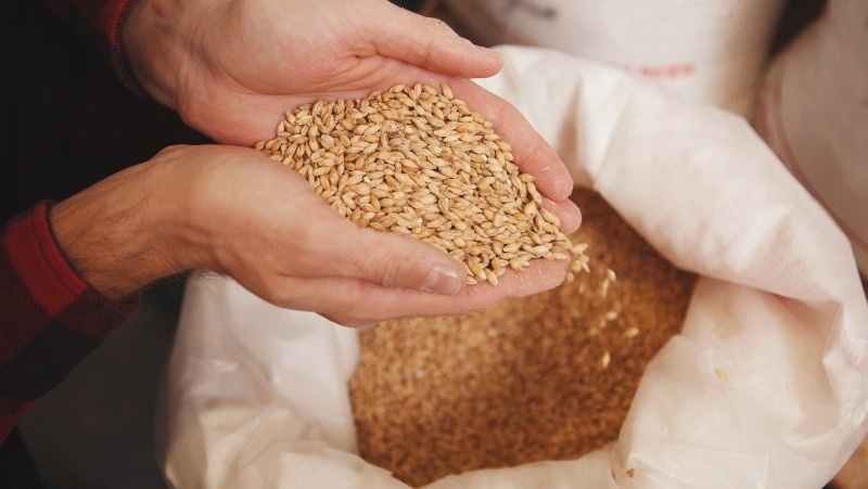 Фото: @user14159562 / freepik.com