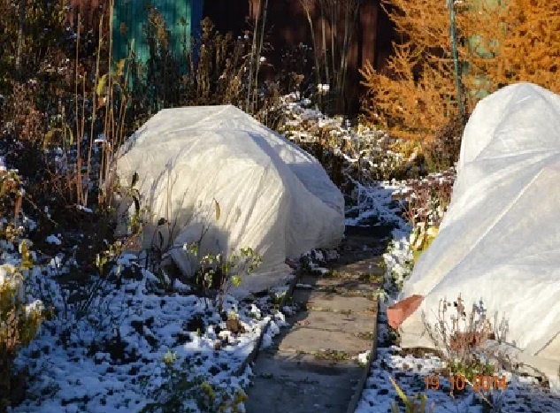 Фото взято из открытых источников