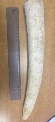    Фото:  Пресс-служба / УФССП по Камчатскому краю