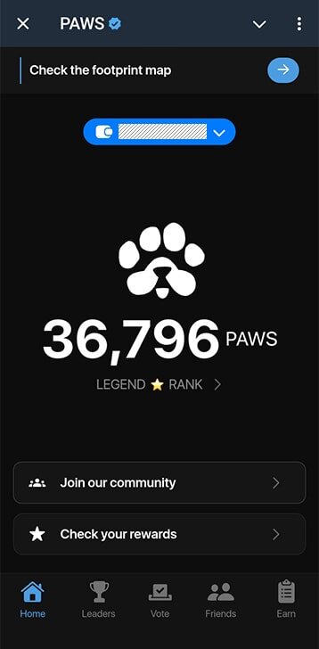 Мини-апп PAWS