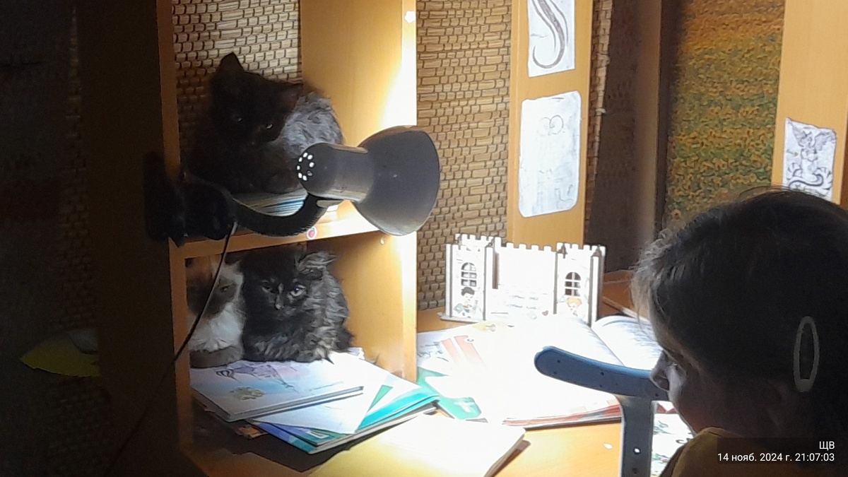 Любахен делает уроки...