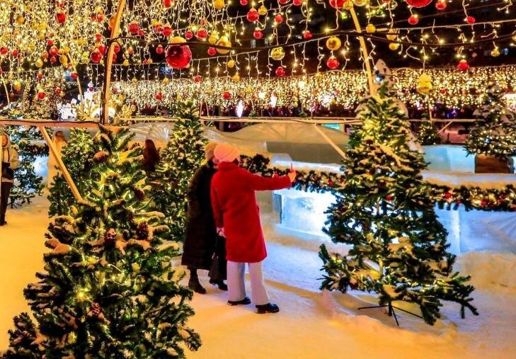    Фото - ТГ-канал мэра Новосибирска