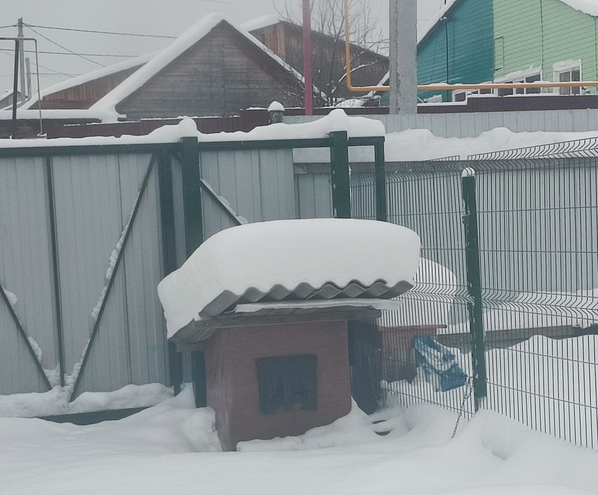 По крыше будки видно, сколько выпало снега за ночь