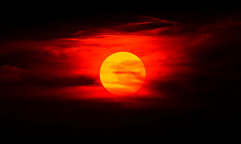 Фото с сайта vecteezy.com