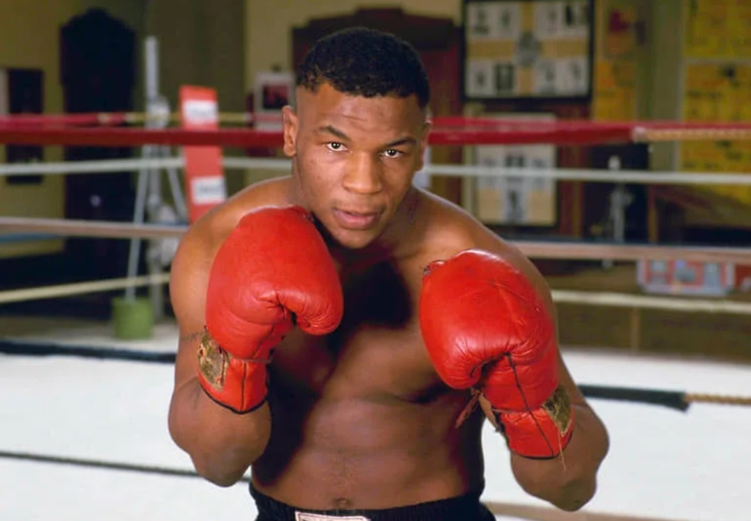 Майк в 1995 году