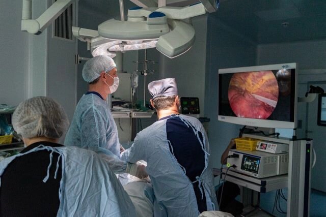    Фото: фото представлено пресс-службой Сеченовского университета