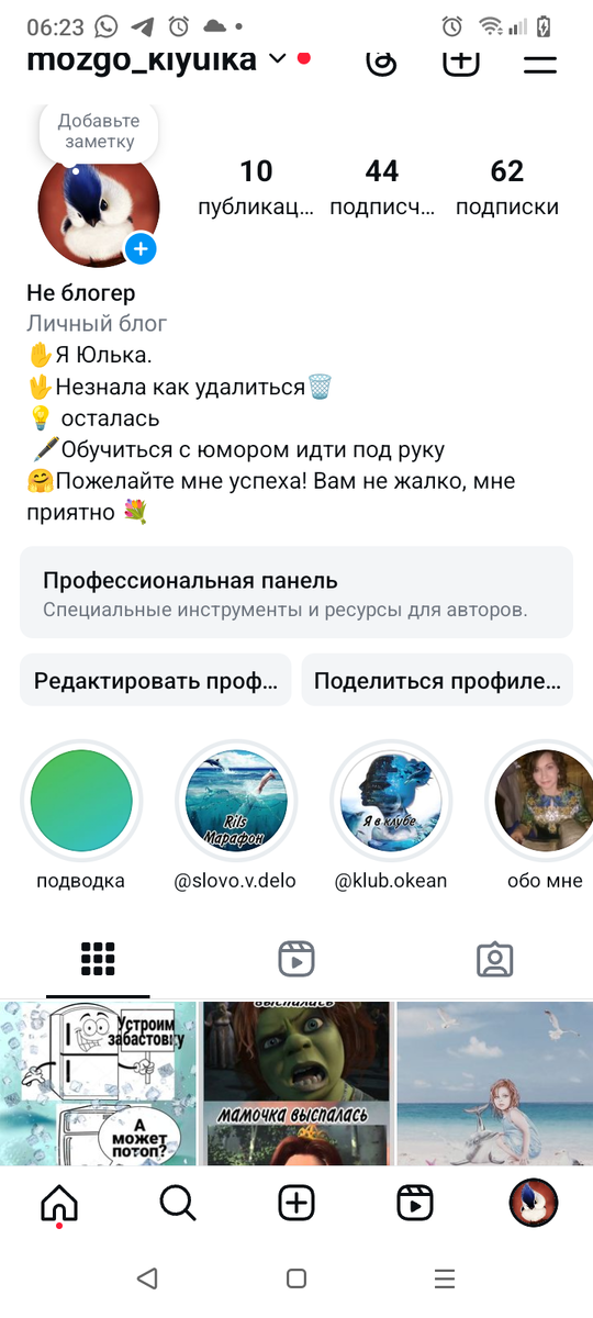 Пятая страничка. Просто в этой сети винегрет не состряпаешь. Поэтому у меня было несколько блогов на разные темы) 