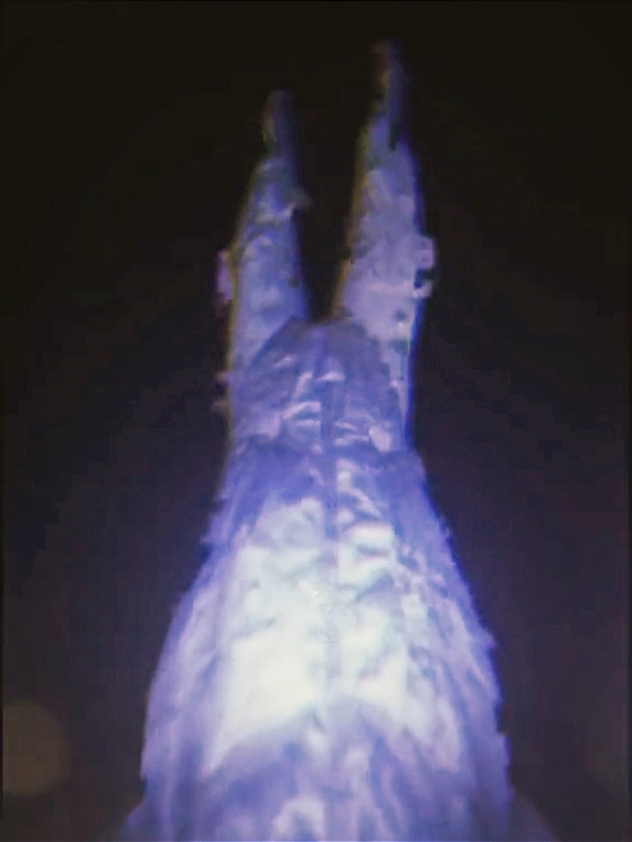 Попав в горизонт событий, вы вероятно будете наблюдать разрыв тела из-за "Спагеттизации"