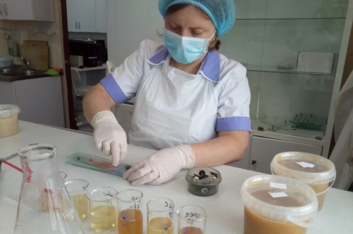    Антибиотик попался в 15 тоннах меда из Хабаровского края