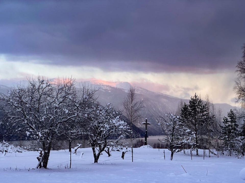    Снег в Республике Алтай. Источник: Татьяна Клименко / Telegram-канал Алтайского заповедника