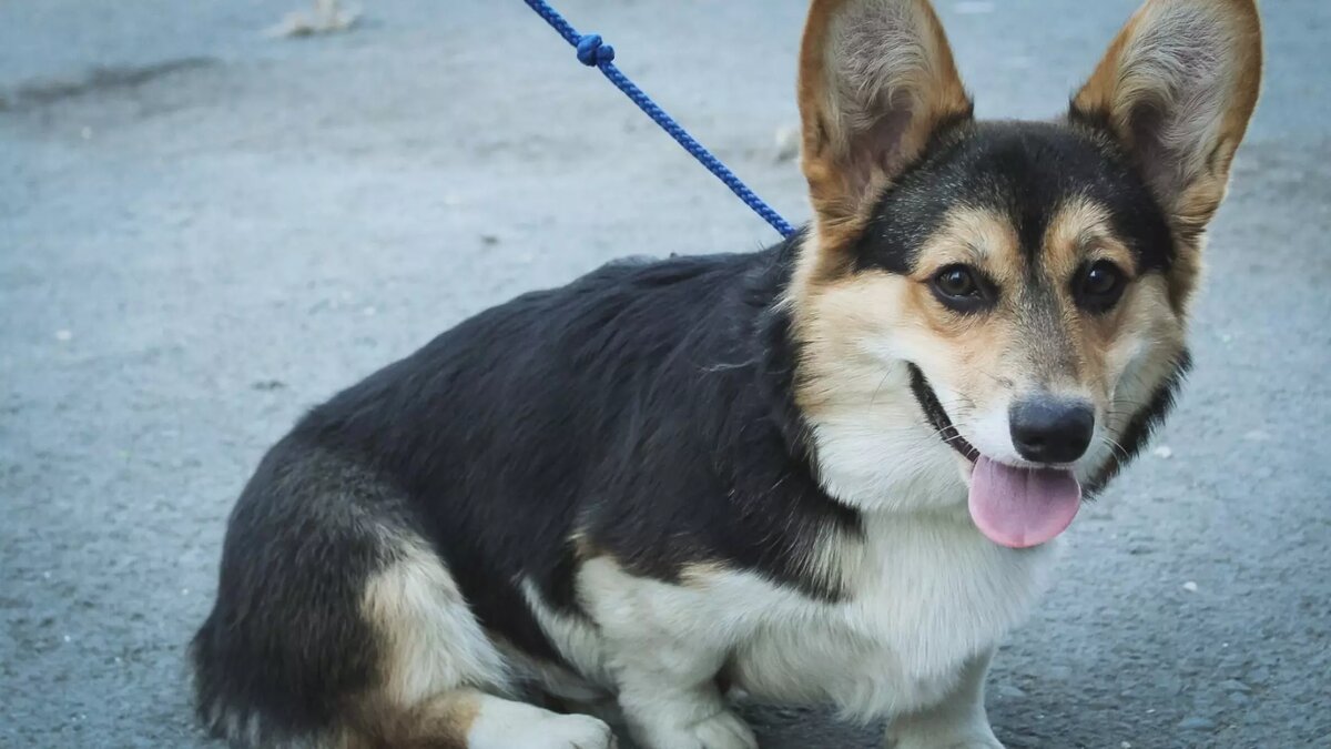     Источник: 1MI